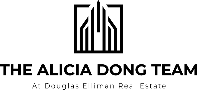 开发团队 